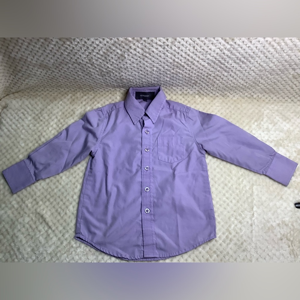 Newberry Purple Button Down Shirt with Long Sleeves and Pointed Collar